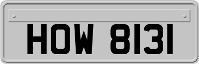 HOW8131