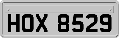 HOX8529