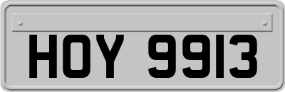 HOY9913