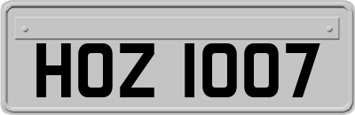 HOZ1007