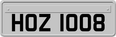 HOZ1008