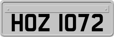 HOZ1072