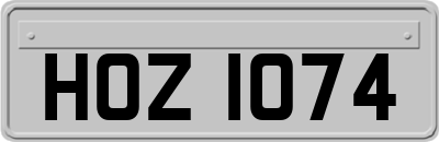 HOZ1074