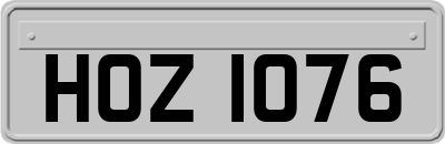 HOZ1076