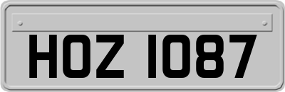 HOZ1087
