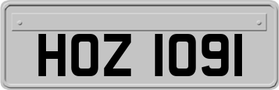 HOZ1091