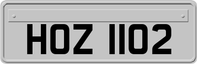 HOZ1102