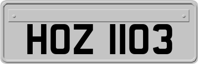 HOZ1103