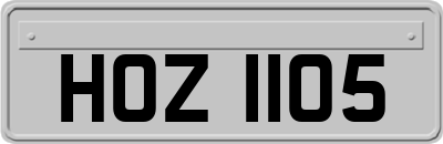 HOZ1105