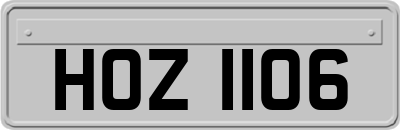 HOZ1106