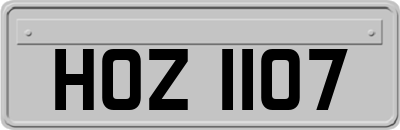HOZ1107