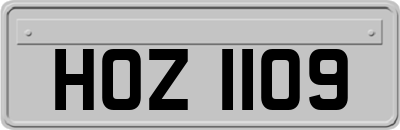 HOZ1109