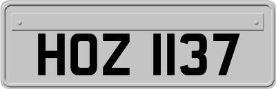 HOZ1137