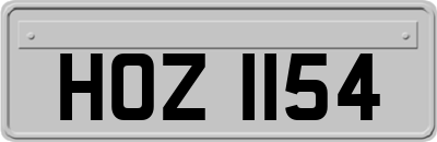 HOZ1154