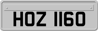 HOZ1160