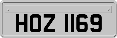 HOZ1169