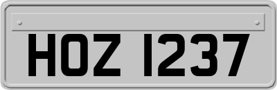 HOZ1237