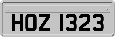 HOZ1323