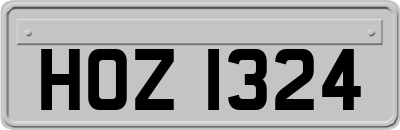 HOZ1324