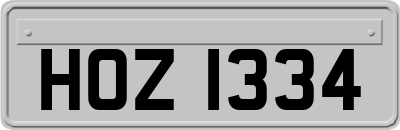 HOZ1334