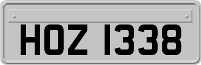 HOZ1338