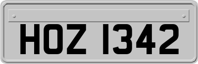 HOZ1342