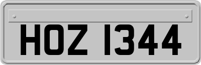 HOZ1344