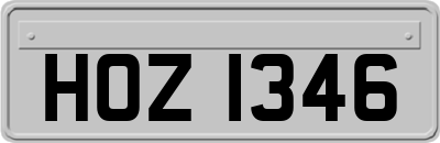 HOZ1346