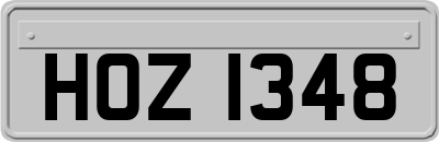 HOZ1348