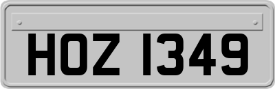 HOZ1349