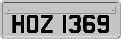HOZ1369