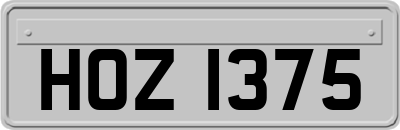 HOZ1375