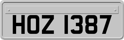 HOZ1387