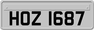 HOZ1687