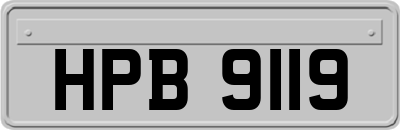 HPB9119