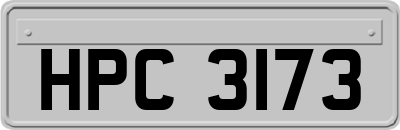 HPC3173