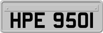 HPE9501
