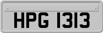 HPG1313