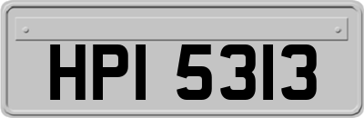 HPI5313