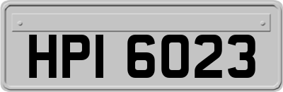 HPI6023