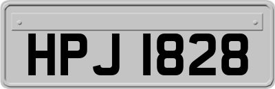 HPJ1828