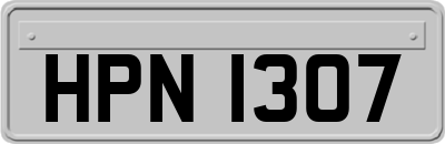 HPN1307