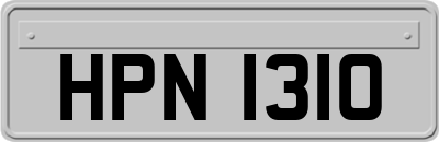 HPN1310