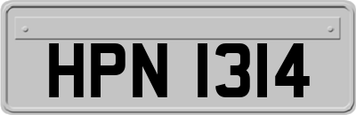 HPN1314