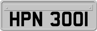 HPN3001