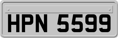 HPN5599