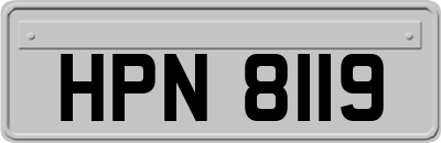 HPN8119