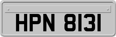 HPN8131