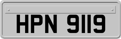 HPN9119
