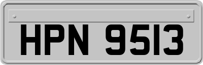 HPN9513